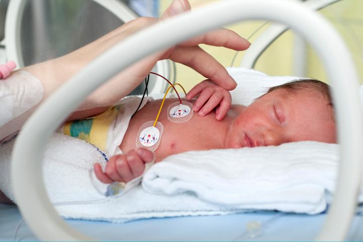 Baby in an incubator in the NICU touching parent's hand